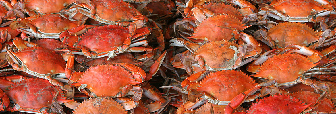 Sal's Riverside Seafood & Catering